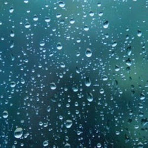 Meet your Posher, Bryan